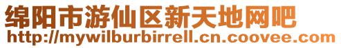 綿陽市游仙區新天地網吧