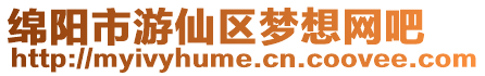 綿陽市游仙區夢想網吧
