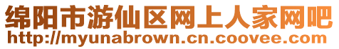 綿陽市游仙區網上人家網吧