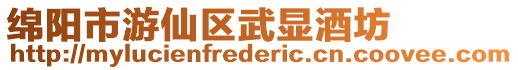 綿陽市游仙區武顯酒坊