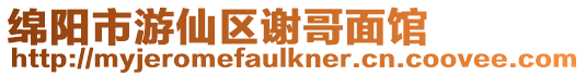綿陽市游仙區謝哥面館