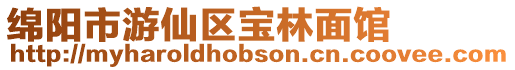 綿陽市游仙區(qū)寶林面館