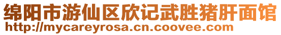 綿陽市游仙區欣記武勝豬肝面館