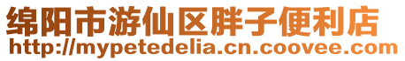 綿陽市游仙區(qū)胖子便利店