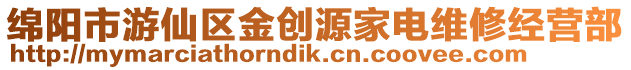 綿陽市游仙區金創源家電維修經營部