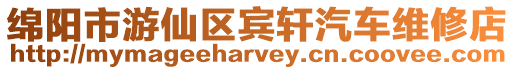 綿陽市游仙區賓軒汽車維修店