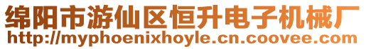 綿陽市游仙區(qū)恒升電子機(jī)械廠