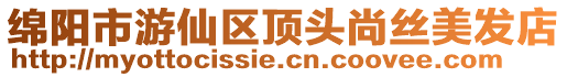 綿陽市游仙區(qū)頂頭尚絲美發(fā)店
