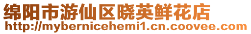 綿陽市游仙區曉英鮮花店