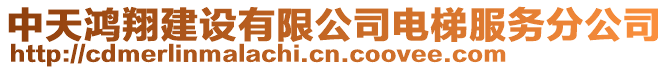 中天鴻翔建設有限公司電梯服務分公司