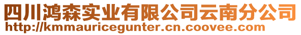 四川鴻森實業有限公司云南分公司