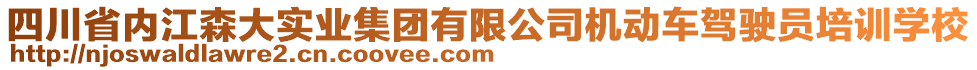 四川省內(nèi)江森大實業(yè)集團有限公司機動車駕駛員培訓學校