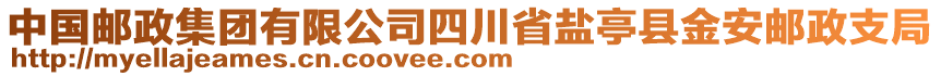 中國郵政集團有限公司四川省鹽亭縣金安郵政支局