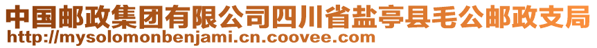 中國(guó)郵政集團(tuán)有限公司四川省鹽亭縣毛公郵政支局