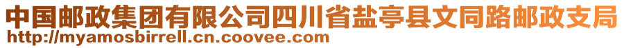 中國(guó)郵政集團(tuán)有限公司四川省鹽亭縣文同路郵政支局