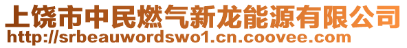 上饒市中民燃?xì)庑慢埬茉从邢薰? style=