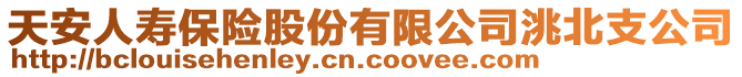 天安人壽保險股份有限公司洮北支公司