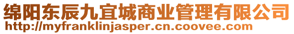 綿陽東辰九宜城商業(yè)管理有限公司