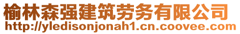 榆林森強(qiáng)建筑勞務(wù)有限公司