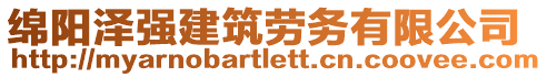 綿陽澤強(qiáng)建筑勞務(wù)有限公司