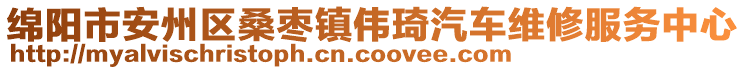 綿陽市安州區(qū)桑棗鎮(zhèn)偉琦汽車維修服務中心