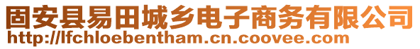 固安縣易田城鄉(xiāng)電子商務(wù)有限公司