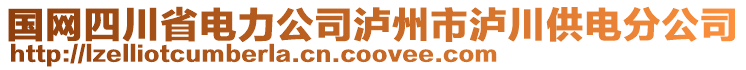 國網(wǎng)四川省電力公司瀘州市瀘川供電分公司