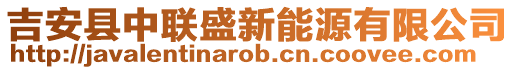 吉安縣中聯(lián)盛新能源有限公司