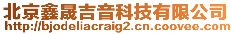 北京鑫晟吉音科技有限公司