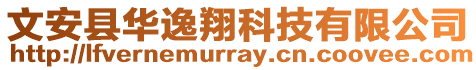 文安县华逸翔科技有限公司