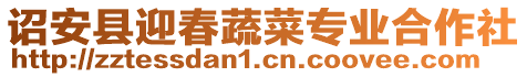 詔安縣迎春蔬菜專業(yè)合作社