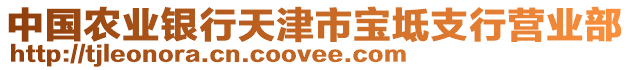 中國農(nóng)業(yè)銀行天津市寶坻支行營業(yè)部