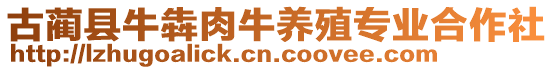 古藺縣牛犇肉牛養(yǎng)殖專業(yè)合作社