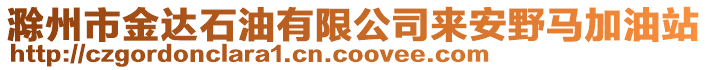 滁州市金達石油有限公司來安野馬加油站