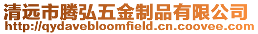 清遠市騰弘五金制品有限公司