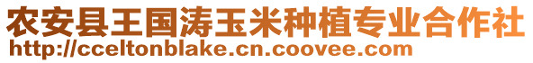 農(nóng)安縣王國濤玉米種植專業(yè)合作社