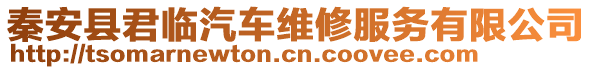 秦安縣君臨汽車維修服務有限公司