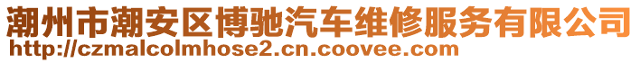 潮州市潮安區(qū)博馳汽車維修服務(wù)有限公司