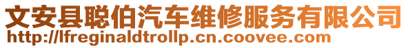 文安縣聰伯汽車維修服務(wù)有限公司