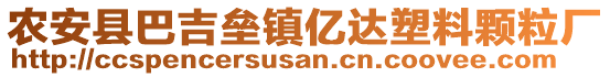 農(nóng)安縣巴吉壘鎮(zhèn)億達塑料顆粒廠