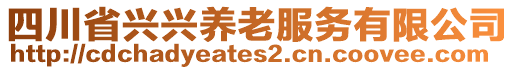 四川省興興養(yǎng)老服務(wù)有限公司