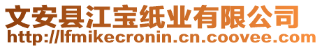 文安縣江寶紙業(yè)有限公司