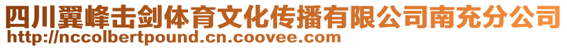 四川翼峰擊劍體育文化傳播有限公司南充分公司