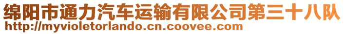 綿陽市通力汽車運輸有限公司第三十八隊