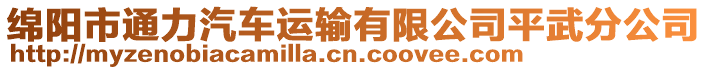 綿陽市通力汽車運(yùn)輸有限公司平武分公司