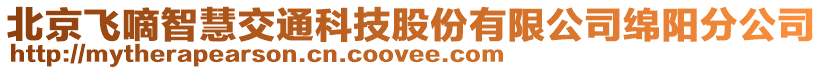 北京飞嘀智慧交通科技股份有限公司绵阳分公司