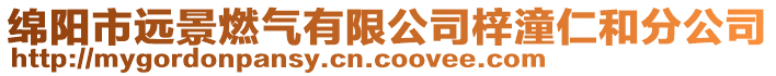 綿陽市遠景燃氣有限公司梓潼仁和分公司
