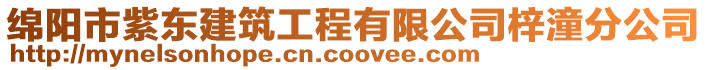 綿陽市紫東建筑工程有限公司梓潼分公司