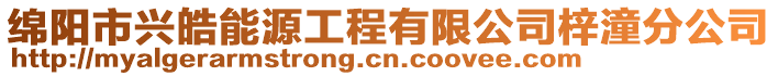 綿陽市興皓能源工程有限公司梓潼分公司