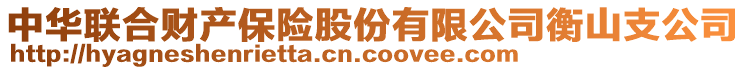 中華聯(lián)合財(cái)產(chǎn)保險(xiǎn)股份有限公司衡山支公司